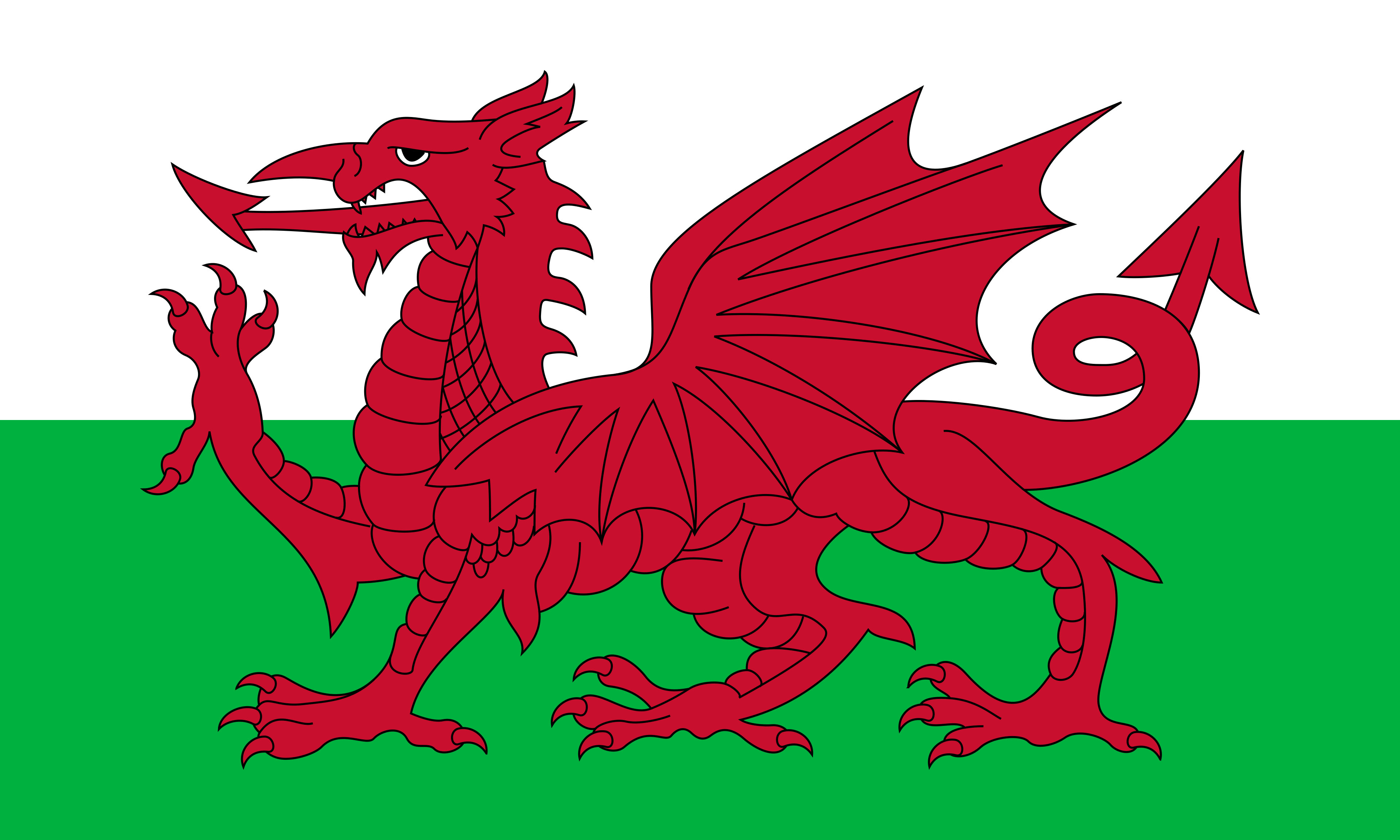 flag_wales